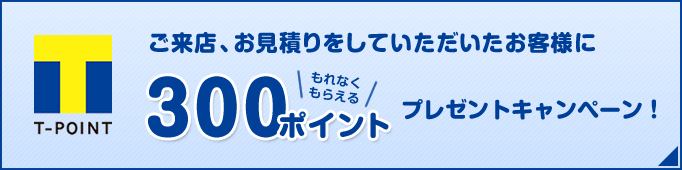 300ポイント プレゼント!!